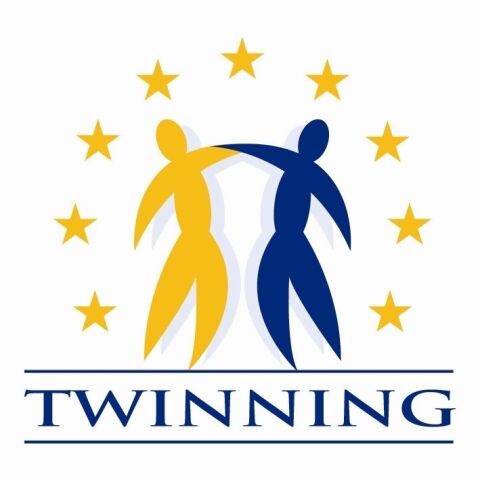 twinning_logo_preview_0