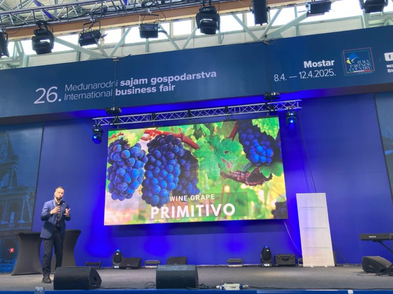 WhatsApp Image 2026-03-17 at 14.31.58