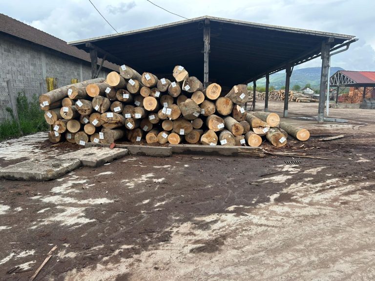 a22d5c8e-5ffa-4472-a9bb-0d1abab87557